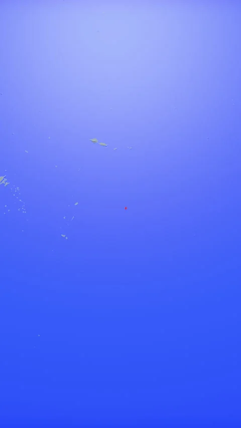 Location and red map of Niue on the earth in vertical format 库存影片 331458690