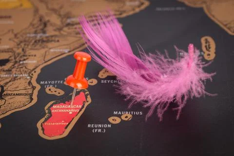 Location Madagascar, map with push pin close-up, travel and journey concept Foto stock