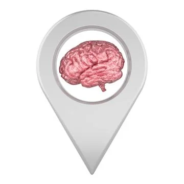 Location pin with human brain. 3d rendering Stock Illustration