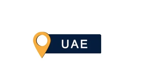 Location pin with UAE Stock Footage 308243115