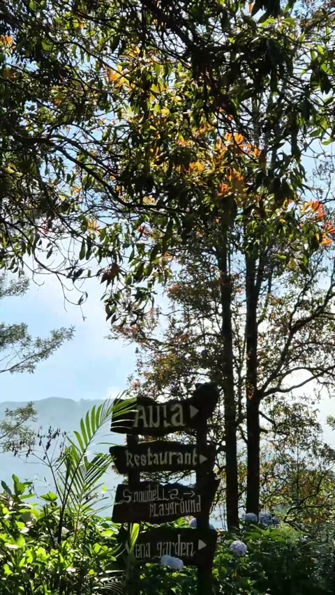 Location sign shoot Stock Footage 292975839