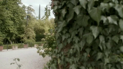 Location in Tuscany Stock Footage 233069862