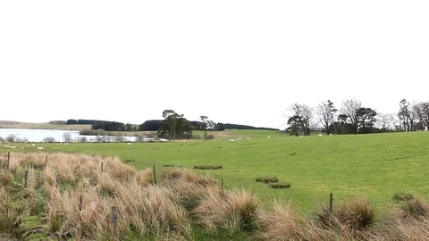 Loch Coulter cloudy day Stock Footage 74641122