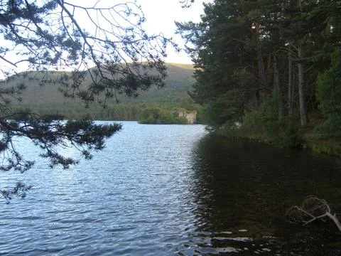 Loch An Eilein Stock Photos