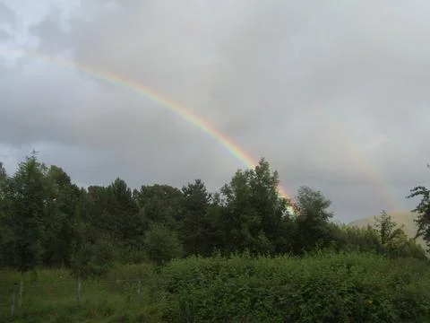 Loch An Eilein Stock Photos