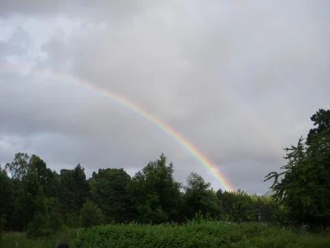 Loch An Eilein Stock Photos