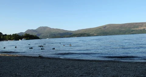 Loch Video stock 101353551