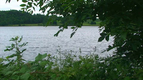 Loch framed by branches and plants shaken by wind Stock Footage 39614381