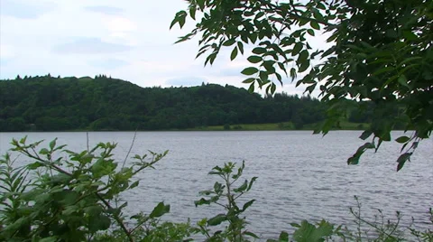 Loch framed by branches and plants shaken by wind Stock Footage 39614418