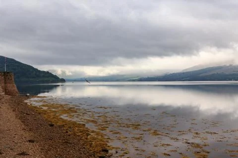 Loch Fyne Reflections Stock Photos
