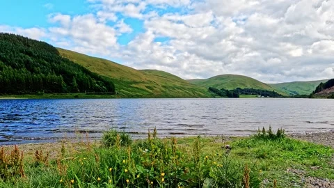 Loch of the Lowes, Scottish Borders Stock Footage 246139244