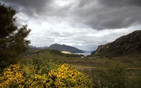 Loch maree Stock Photos
