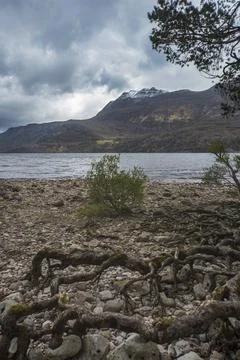 Loch Maree Foto stock