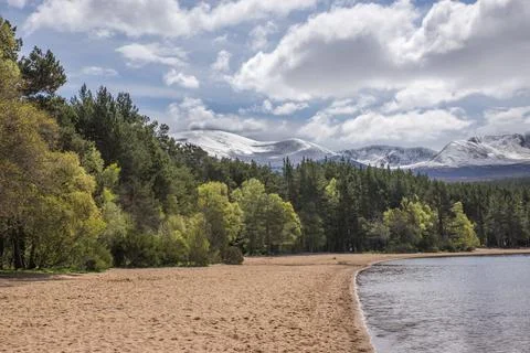Loch Morlich beach Foto stock