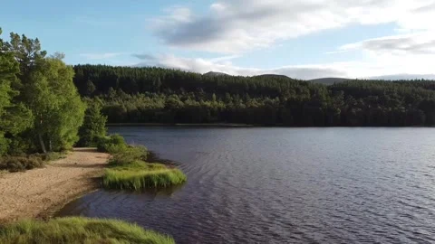 Loch Morlich shoreline drone fly past, Cairngorms (HD) Stock Footage 273620601
