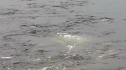 Loch Ness, Scotland Stock Footage 42933916