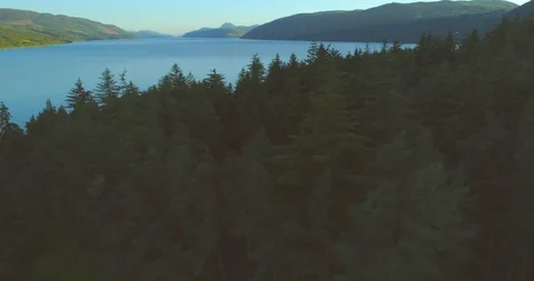 Loch Ness sideways reveal from pine forest on a sunny day Видео 112003606