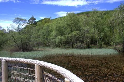 Loch view Foto stock