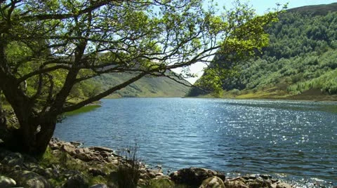Loch1a Stock Footage 11232745