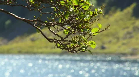 Loch2a Stock Footage 11232860