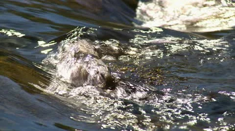 Loch4a Stock Footage 11232934