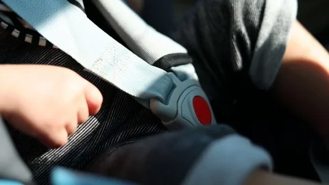 Lock of car seat Stock Footage 81794911