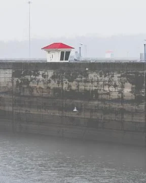 Lock control tower with red tin roof on a foggy day with seagulls in flight. Stock Photos