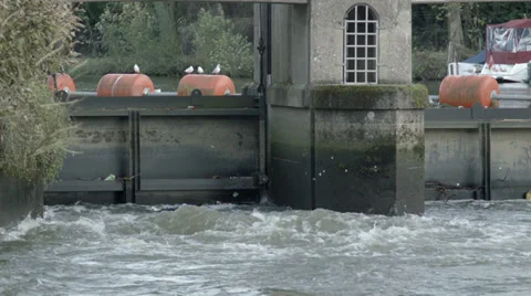 Lock / dam birds perched on it Stock Footage 33473319