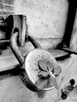 Lock down all over the world due to corona virus. Stock Photos