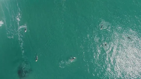 A lock down pull up drone shot of surfers as one catches a wave and rides Stock Footage 96294536