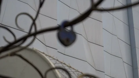 The lock in the form of heart hanging on a metal artificial tree lovers Stock Footage 76483104