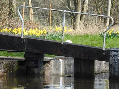 Lock gate and daffodils Stock Photos