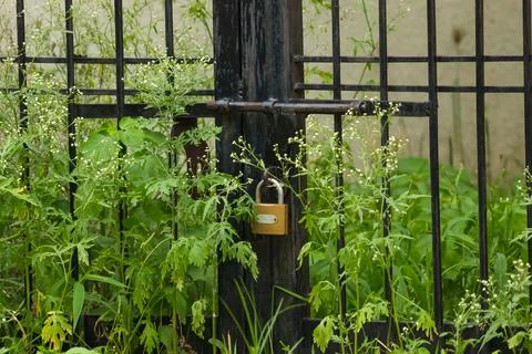 Lock with the gate Stock Photos