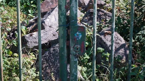 Lock at an old rusty gate Stock Footage 116603972