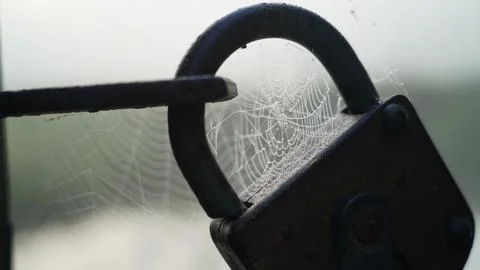 Lock with spider cobweb Fotos de archivo