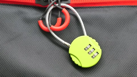 Lock used for securing a bag at the park Stock Footage 341998706