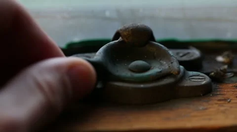 Lock Window Dead Flies into Black Stock Footage 57750246