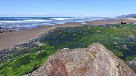 Lockdown of Algae on Rocks at Beach Stock Footage 87927191