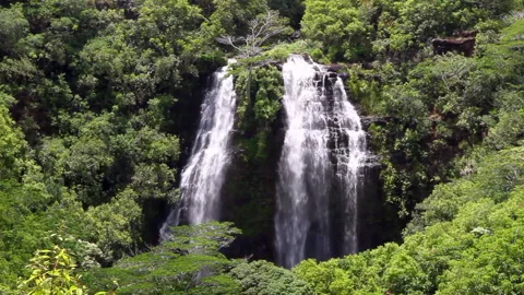 Lockdown Beautiful View Of Waterfall Amidst Green Plants In Forest On Mountains Stock Footage 206324578