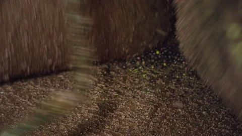 Lockdown, Close-Up, 10 Seconds Or Greater, Indoors, Day, Mill, Olive Oil, Stock Footage 95915408