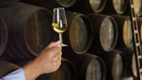 Lockdown, Close-Up, 20 Seconds Or Greater, Wine Glass, White Wine, Holding, Part Stock Footage 94022480