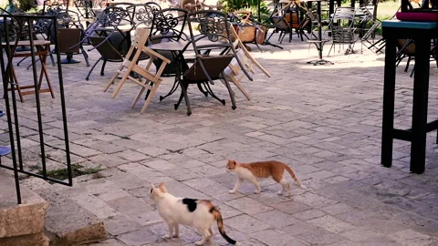 Lockdown. The closure of cafes and restaurants due to the virus. Stock Footage 166866691