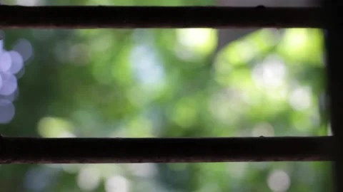 Lockdown Stock Footage 208443213