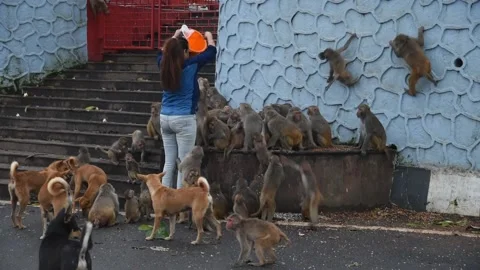 Lockdown in India Stock-Footage 134897530