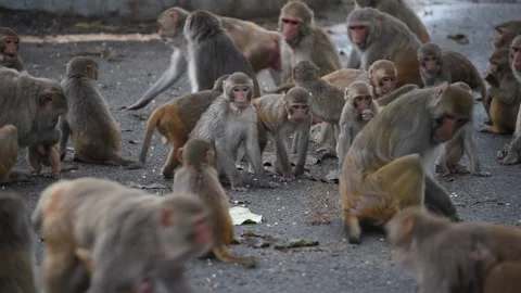 Lockdown in India Video stock 134897583