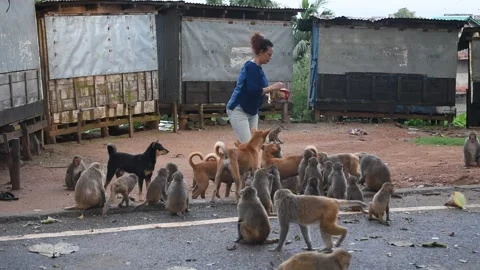 Lockdown in India Video stock 134897628