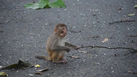 Lockdown in India Video stock 134897717