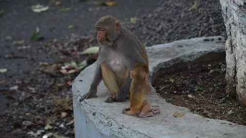 Lockdown in India Video stock 134897731