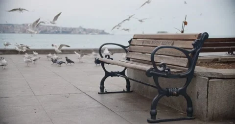 Lockdown İstanbul, Empty Bench in Beşiktaş in Covid-19 Curfew Stock Footage 153287386