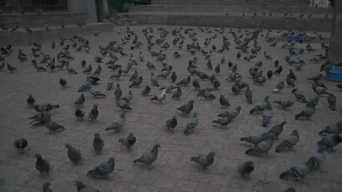 LOCKDOWN NEPAL: BASANTAPUR 스톡 동영상 138979210